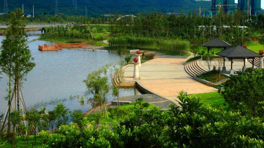 广东省水利水电继续教育专业课《河道治理与管理》