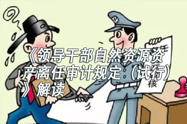 审计专业继续教育专业课《领