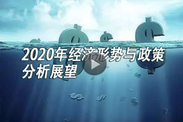 经济专业技术人员继续教育《2020年经济形势与政策分析展望》