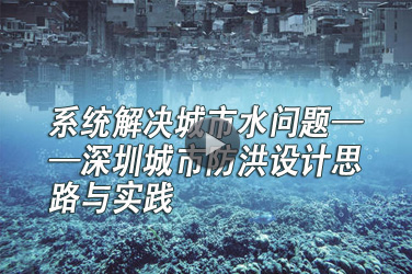 水利水电继续教育专业课《系统解决城市水问题——深圳城市防洪设计思路与实