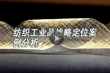 纺织工程继续教育专业课《纺织工业品战略定位案例分析》