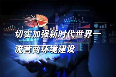 经济专业技术人员继续教育《切实加强新时代世界一流营商环境建设》