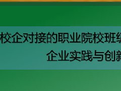 广东高校教师继续教育专业课《校企对接的职业院校班级文化建设、企业实践与创新》