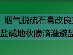 广东水利水电继续教育专业课《烟气脱硫石膏改良盐碱土壤、盐碱地秋膜滴灌避