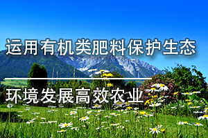 广东省环境保护继续教育专业课《运用有机类肥料保护生态环境发展高效农业》