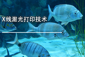 广东省医疗器械、医药技术继续教育专业课《X线激光打印技术》