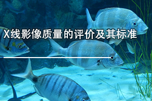 广东省医疗器械、医药技术继续教育专业课《X线影像质量的评价及其标准》