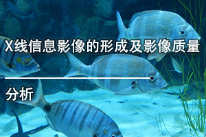 广东省医疗器械、医药技术继续教育专业课《X线信息影像的形成及影像质量分