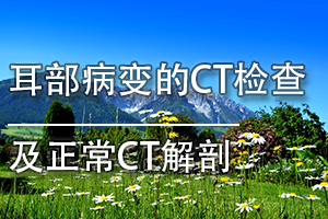 广东省医疗器械、医药技术继续教育专业课《耳部病变的CT检查及正常CT解剖》