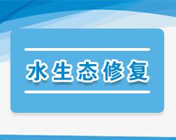 广东国土专业继续教育专业课《水生态修复》