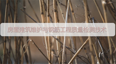 建筑工程继续教育《房屋建筑维护与钢筋工程质量检测技术》