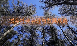 建筑工程继续教育课程《城乡社会治理与发展战略》